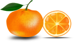 slice of an orange